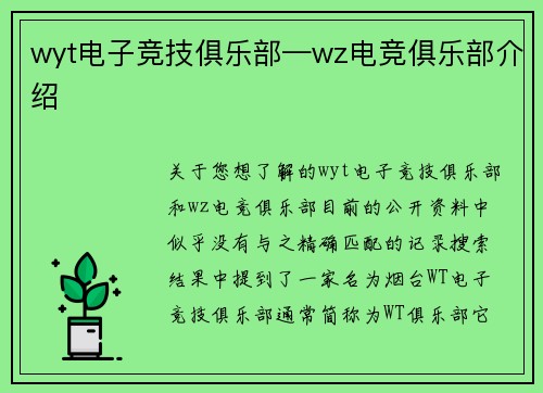 wyt电子竞技俱乐部—wz电竞俱乐部介绍